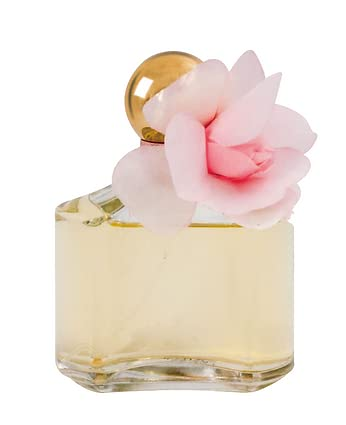 Day of Flower Perfume for Women (Inspired by Daisy) 3.4oz/100ml EDP, Natural Spray Long Lasting